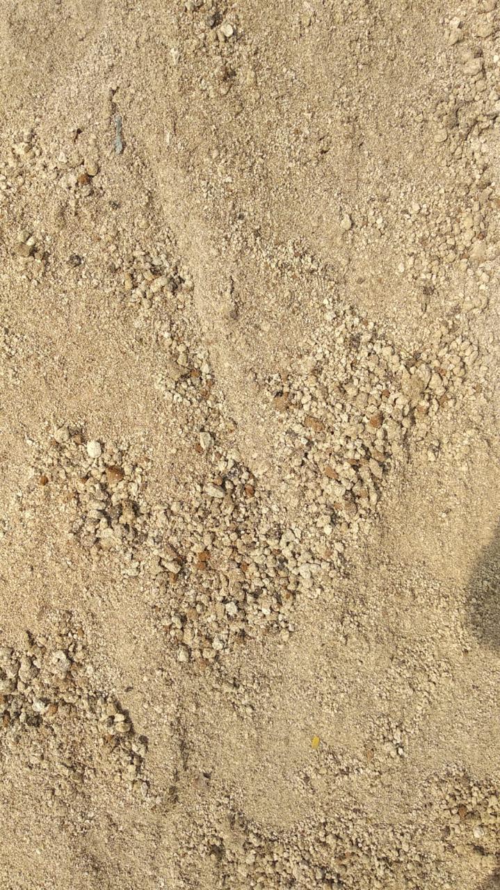 Bio-Tested Healthy Soil